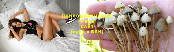 mix Богородск