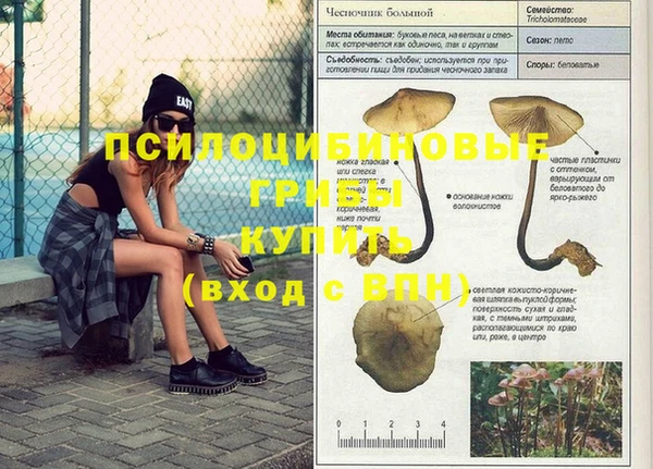 амф Богданович