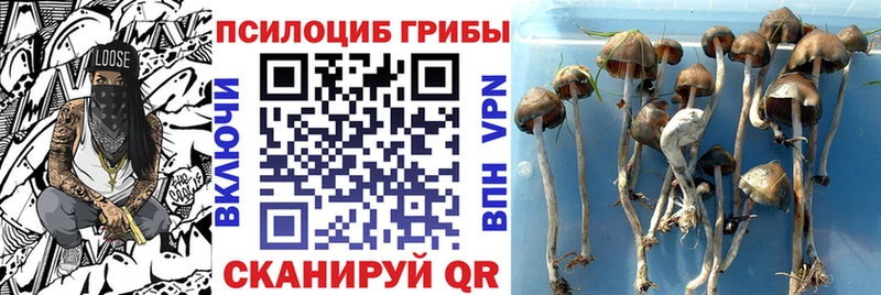 Псилоцибиновые грибы Magic Shrooms  Кондрово 